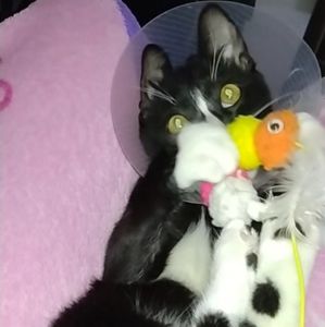 Meet your Posher, Brooklynn